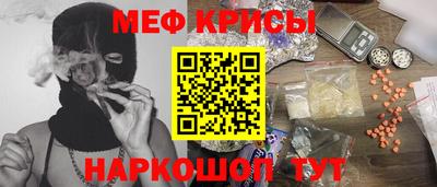 шишки Заволжье