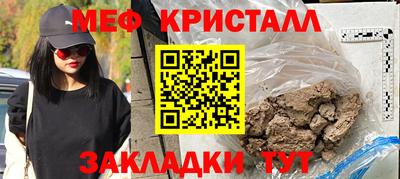 шишки Заволжье