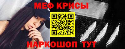 шишки Заволжье