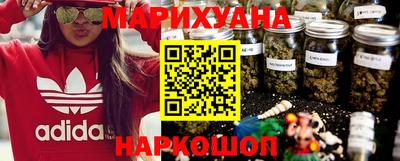 шишки Заволжье