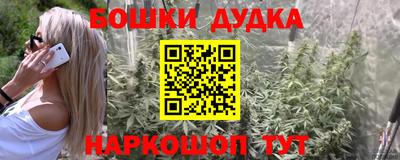 шишки Заволжье