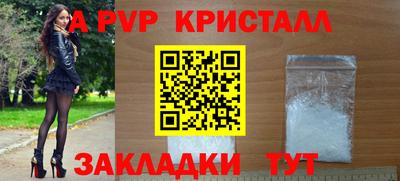 шишки Заволжье