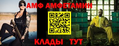 шишки Заволжье