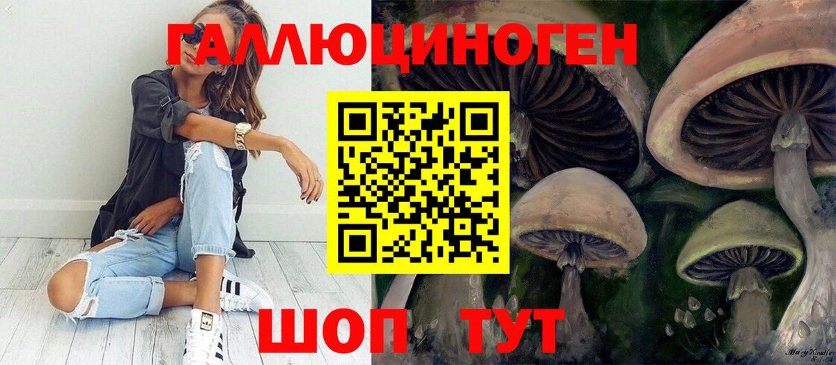 Кунгур  Галлюциногенные грибы мицелий  Вход с VPN  Псилоцибиновые грибы Psilocybe 